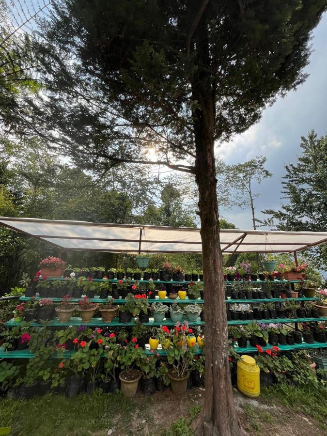 Ifseen Villa Pelling Ngoại thất bức ảnh
