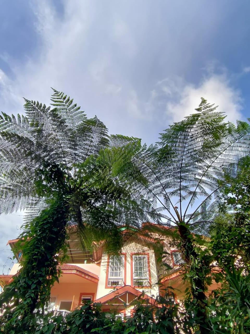 Ifseen Villa Pelling Ngoại thất bức ảnh